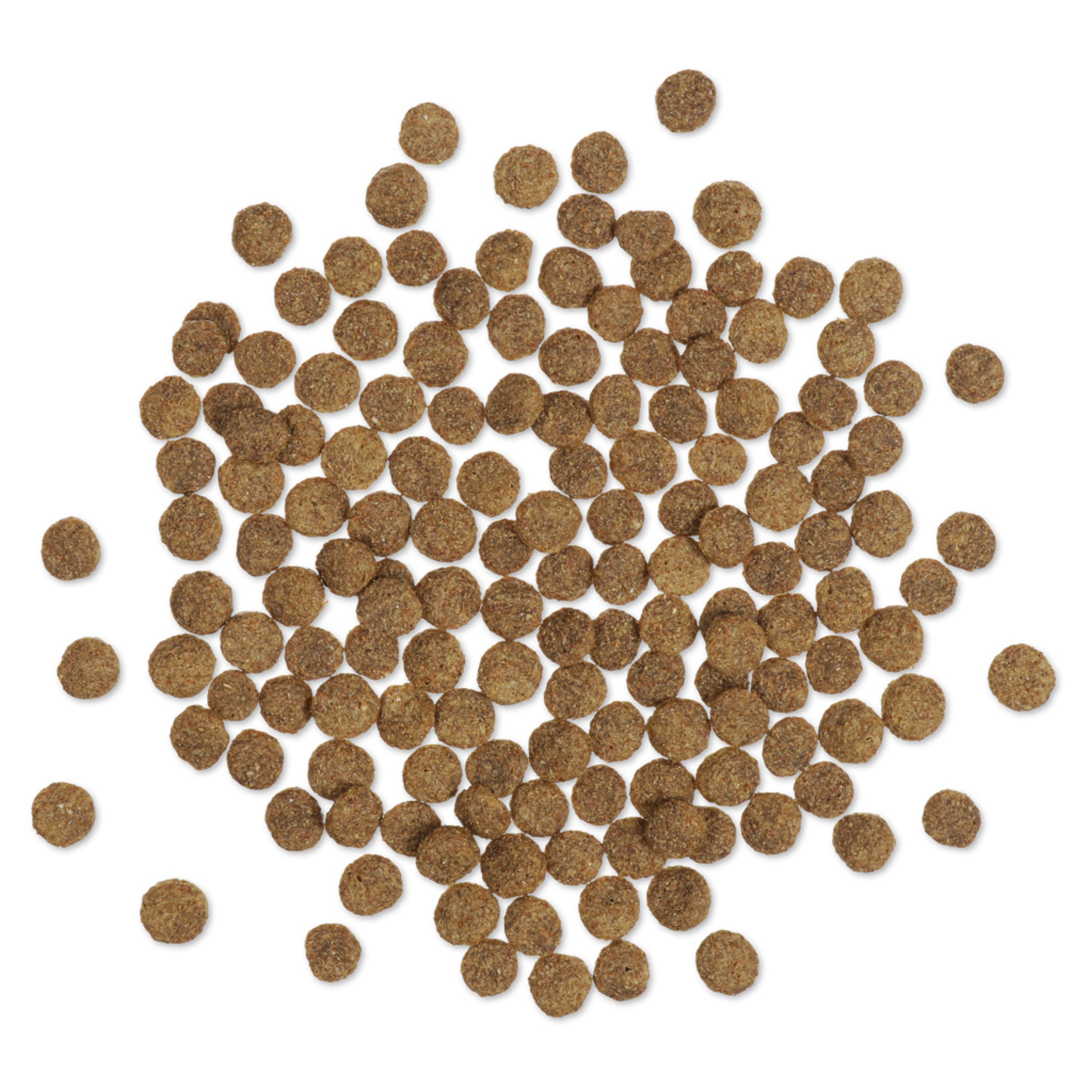 Streufutter für Enten und Schwäne 350 g | CJ Wildlife